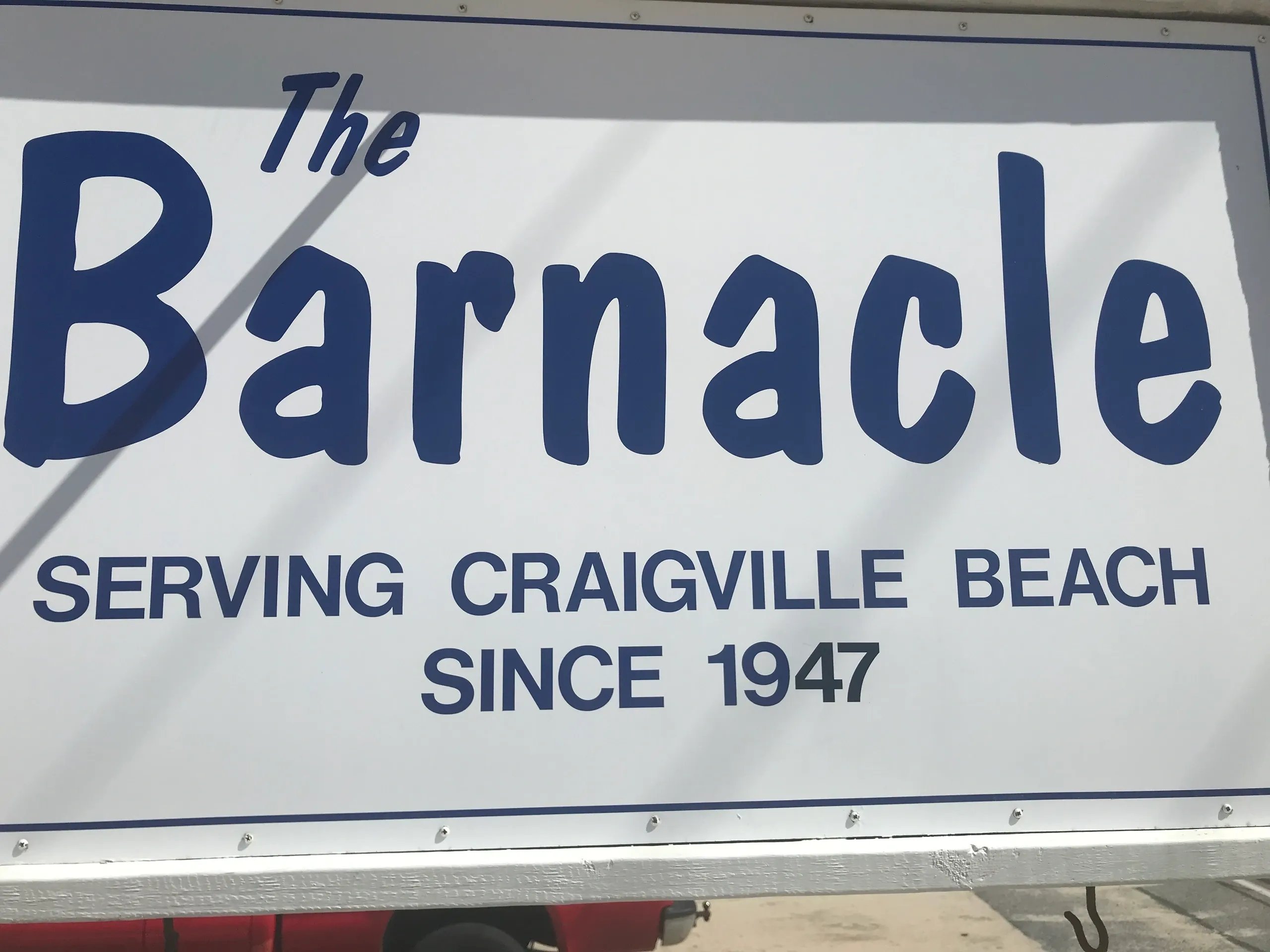 barnacle